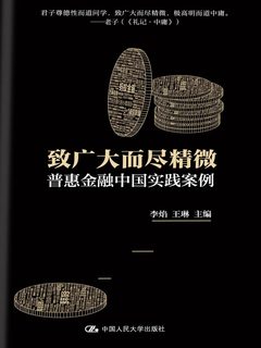 《致广大而尽精微:普惠金融中国实践案例》封面